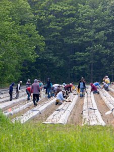 Farm Worker Jobs in Canada for Foreigners – Apply Online (2026 Complete Guide)