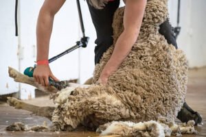 Skilled Work in Australia